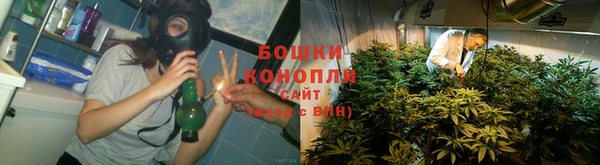шишки Лагань