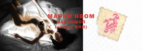 шишки Лагань