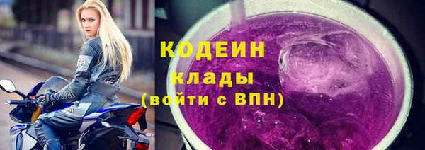 шишки Лагань