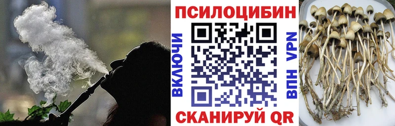 Галлюциногенные грибы прущие грибы  купить  цена  Янаул 