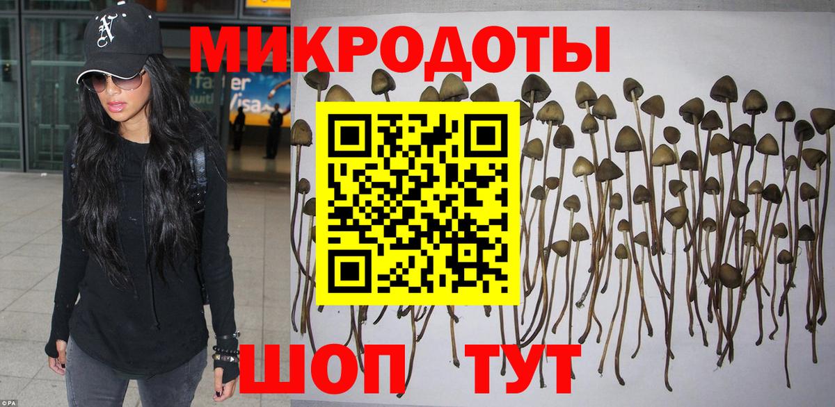 Псилоцибиновые грибы GOLDEN TEACHER Янаул